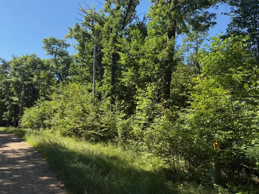 4XYZ Pinewood Court, Browerville, MN 56438 - #3