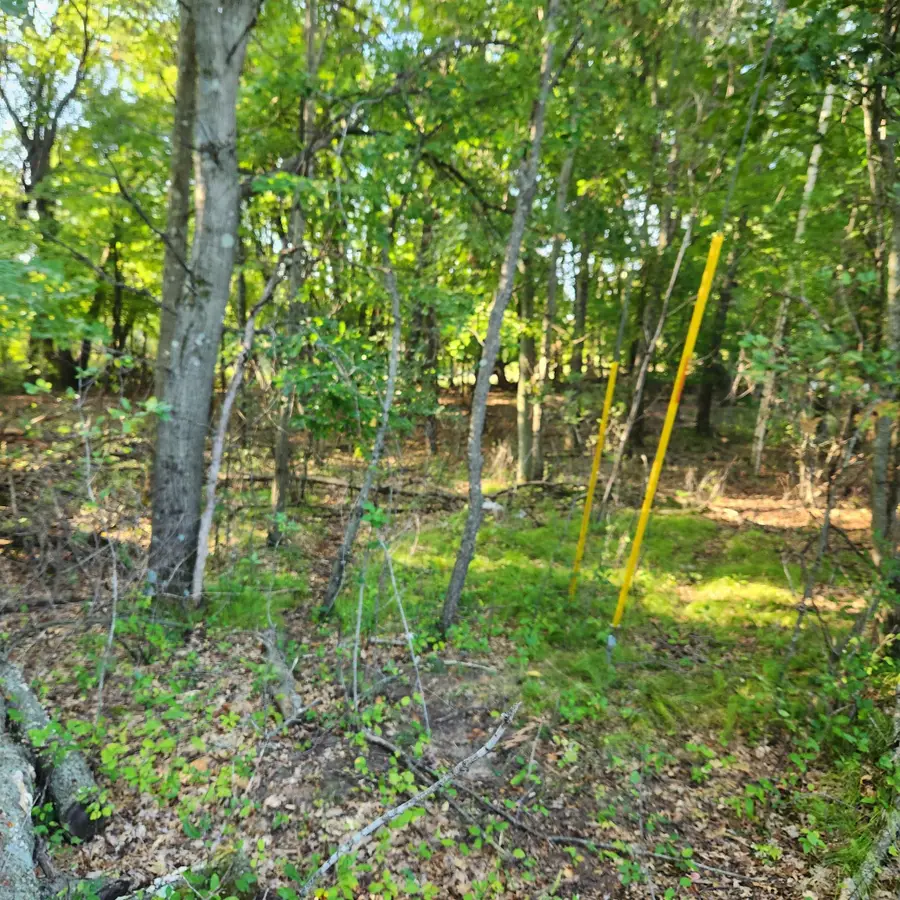 TBD 241st Lane, Bethel, MN 55005 - #2