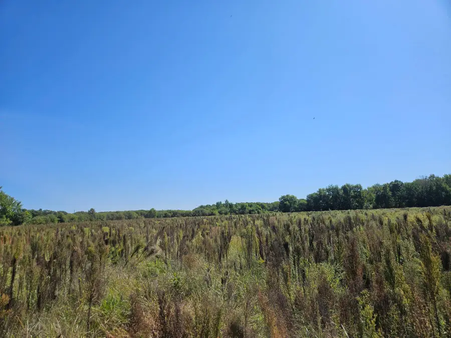 xxxx 313th Avenue, Princeton, MN 55371 - #3