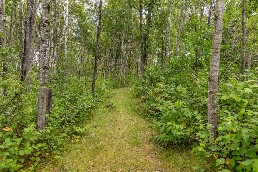 22233 Wilderness Drive, Verndale, MN 56481 - #3