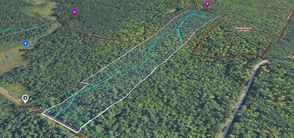 LOT 4 Smith Road, Couderay, WI 54828