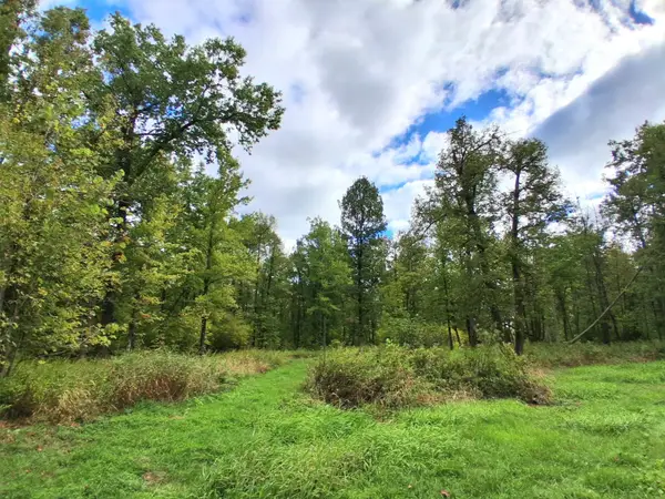 TBD Us Hwy 169, Onamia, MN 56359