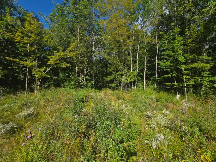 3329 Reuben Johnson Road, Kettle River, MN 55757 - #2