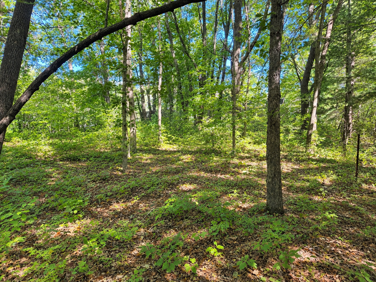 TBD 120th Street, Zimmerman, MN 55398 - #1