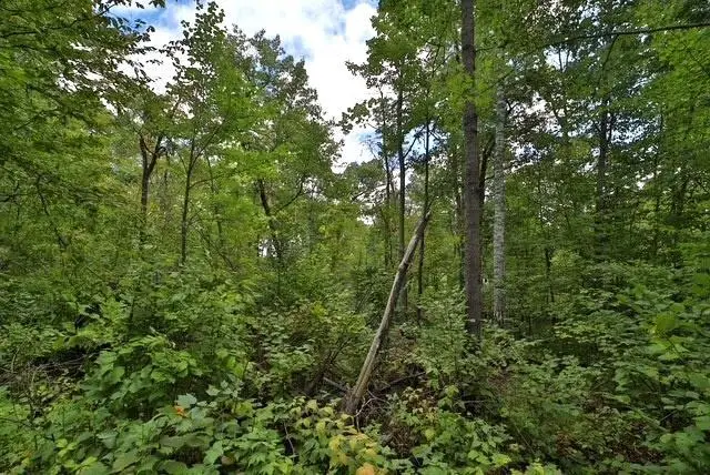 TBD Terminal Rd, Breezy Point, MN 56472 - #2