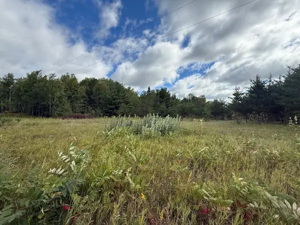 TBD 159th Ave, Bagley, MN 56621