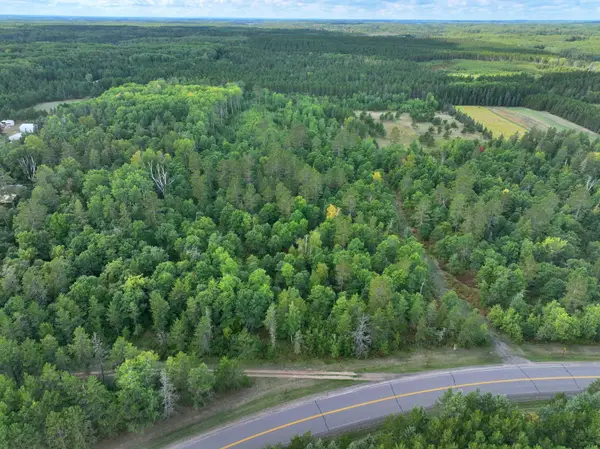 TBD County 119, Nevis, MN 56467