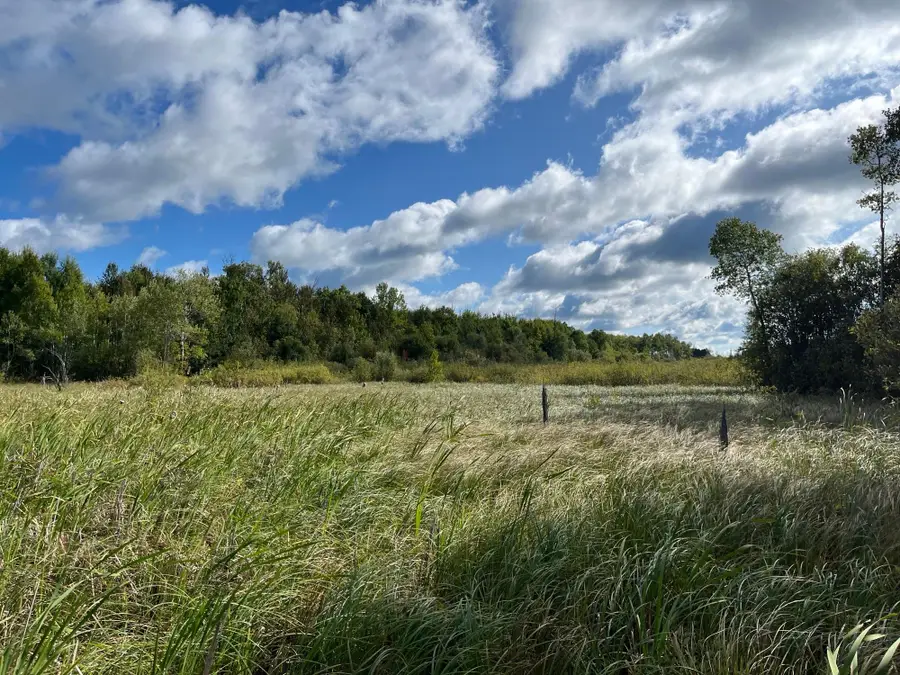 TBD County Rd 30, South Koochiching, MN 56627 - #3