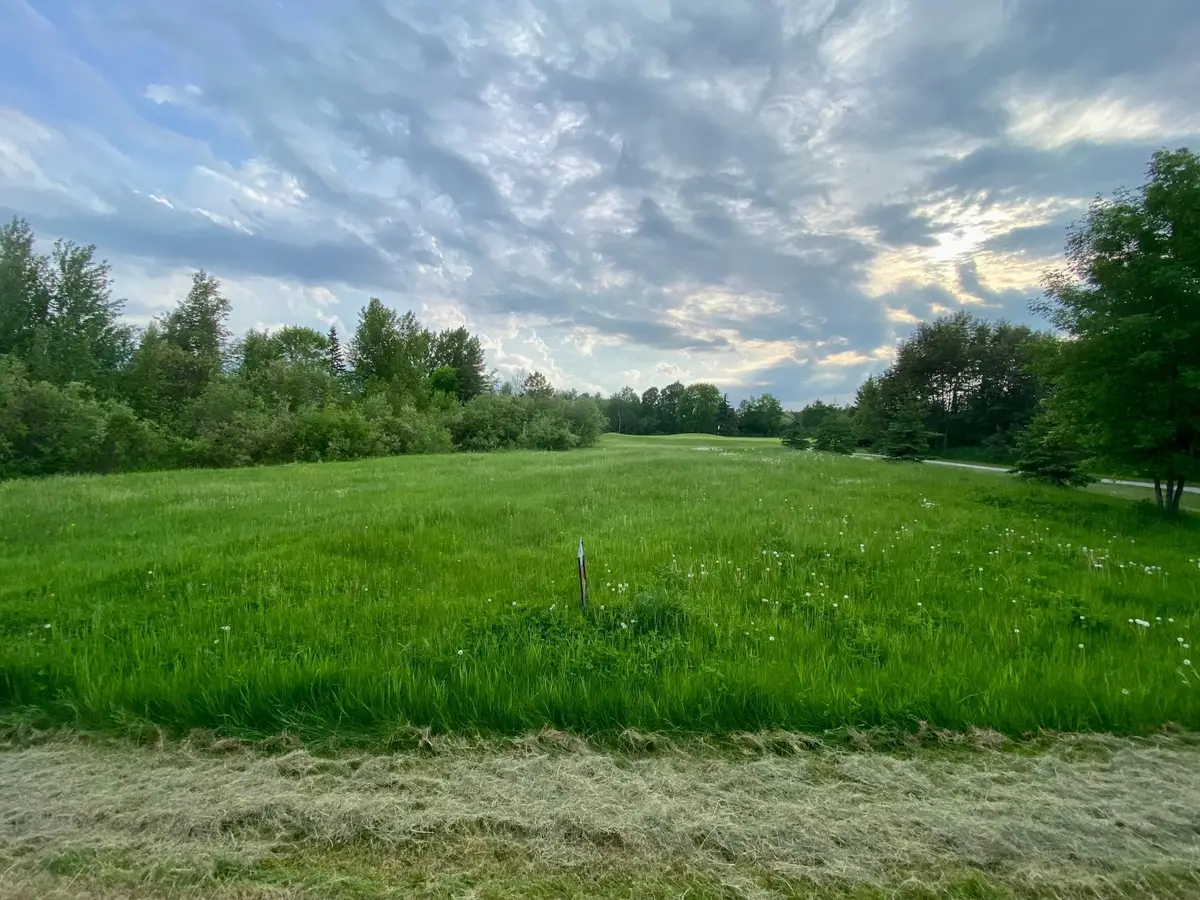 TBD Dogwood Drive, Warroad, MN 56763 - #1