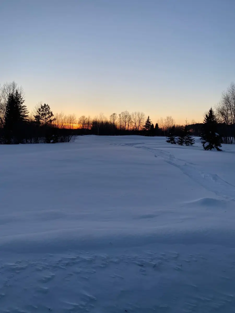TBD Dogwood Drive, Warroad, MN 56763 - #2