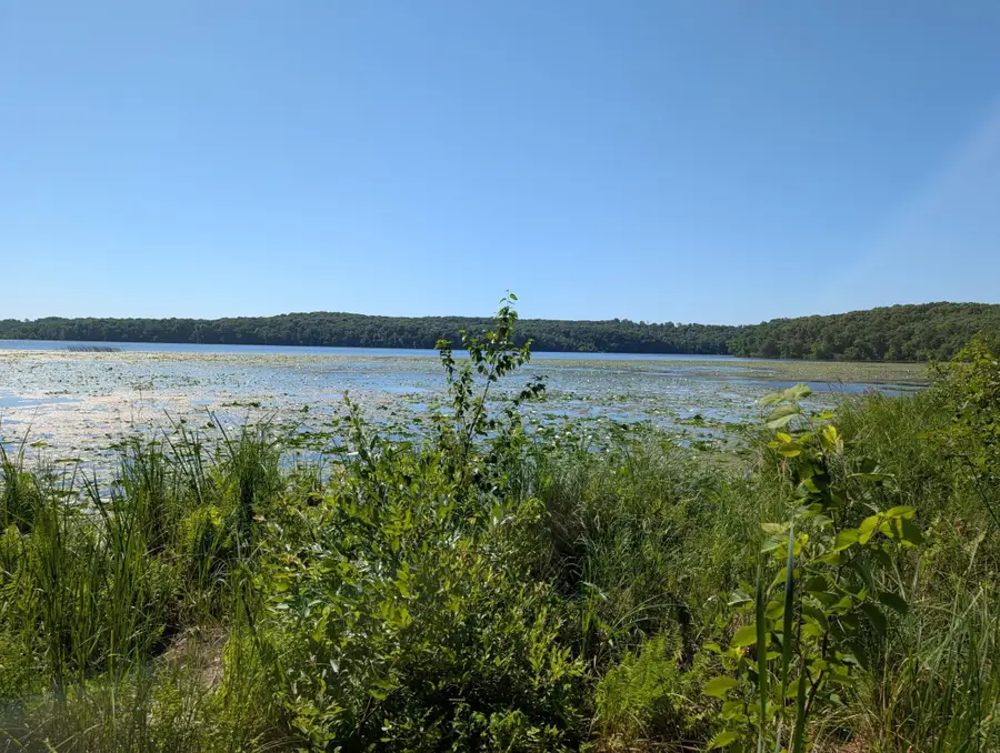 3223 Sebie Lake Road, Fort Ripley, MN 56449 - #2