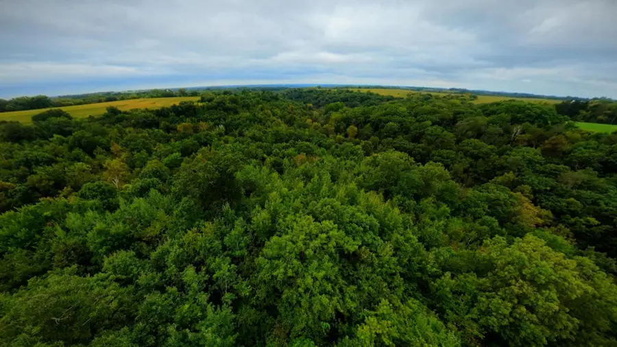 TBD County Road I, Pepin, WI 54759 - #2