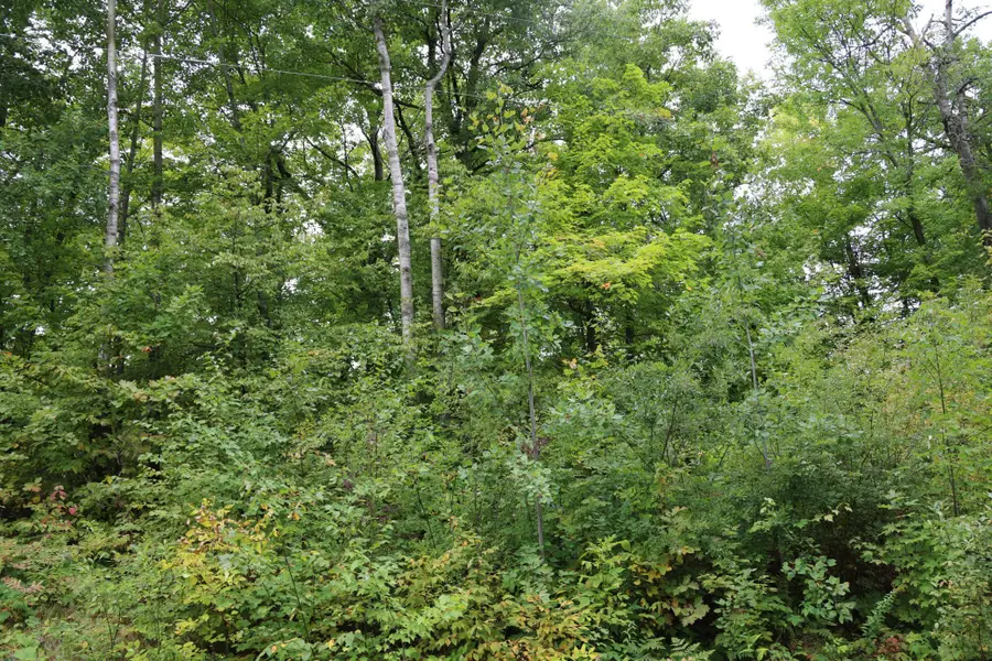 468xx Sugarbrush Circle, Garrison, MN 56450 - #3