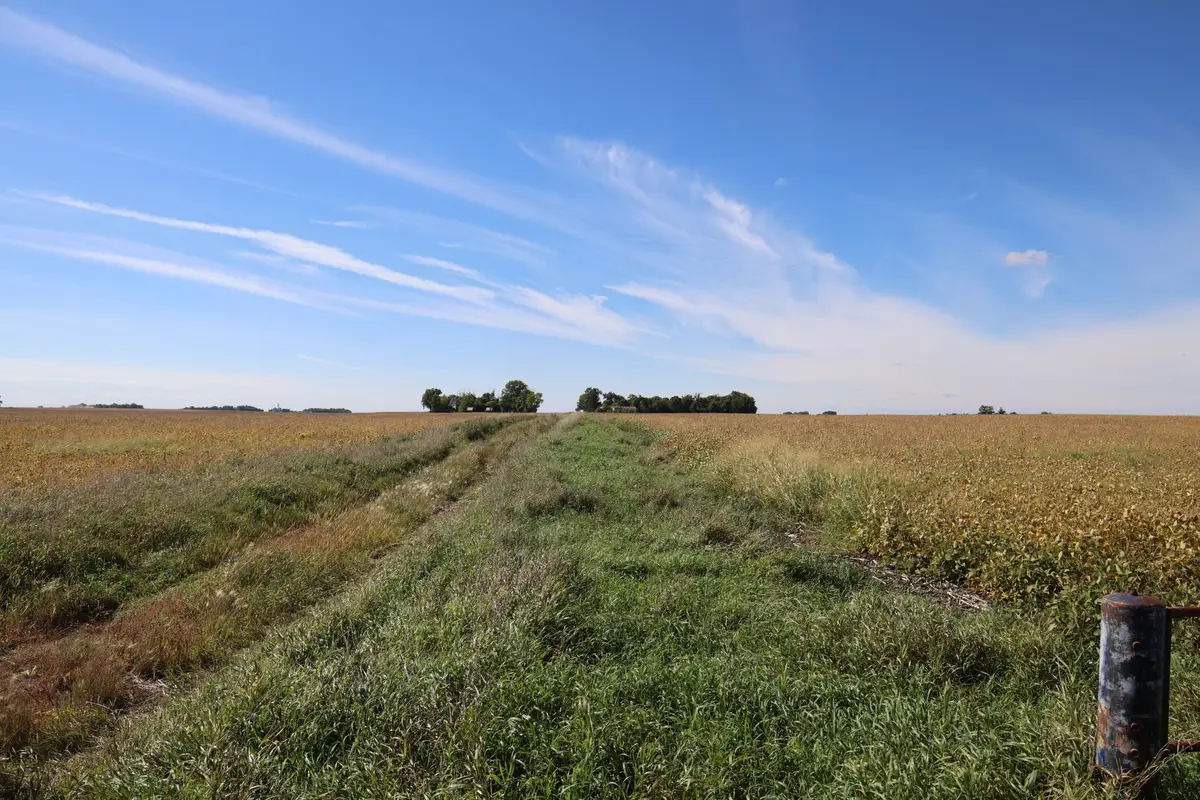81893 470th Street, Hector, MN 55342 - #1