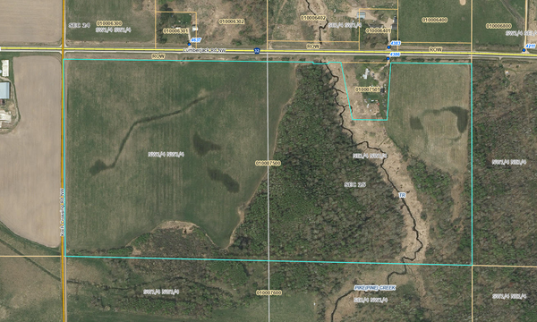 TBD Lumberjack Road Nw, Puposky, MN 56667