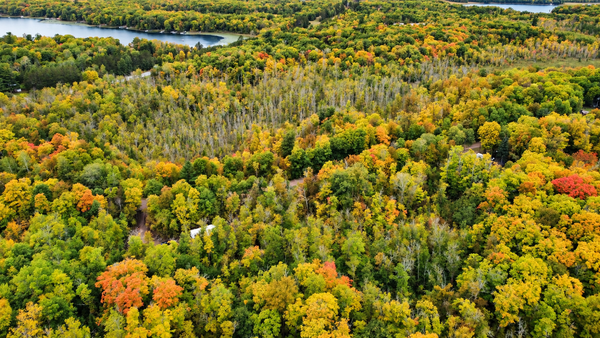 Lot 12 Beaver Drive, Brainerd, MN 56401