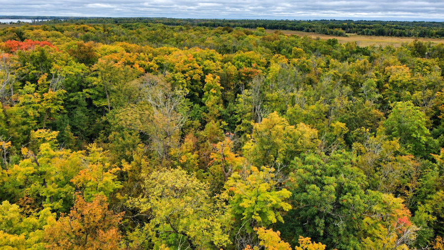 Lot 12 Beaver Drive, Brainerd, MN 56401 - #2