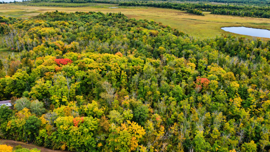Lot 12 Beaver Drive, Brainerd, MN 56401 - #3
