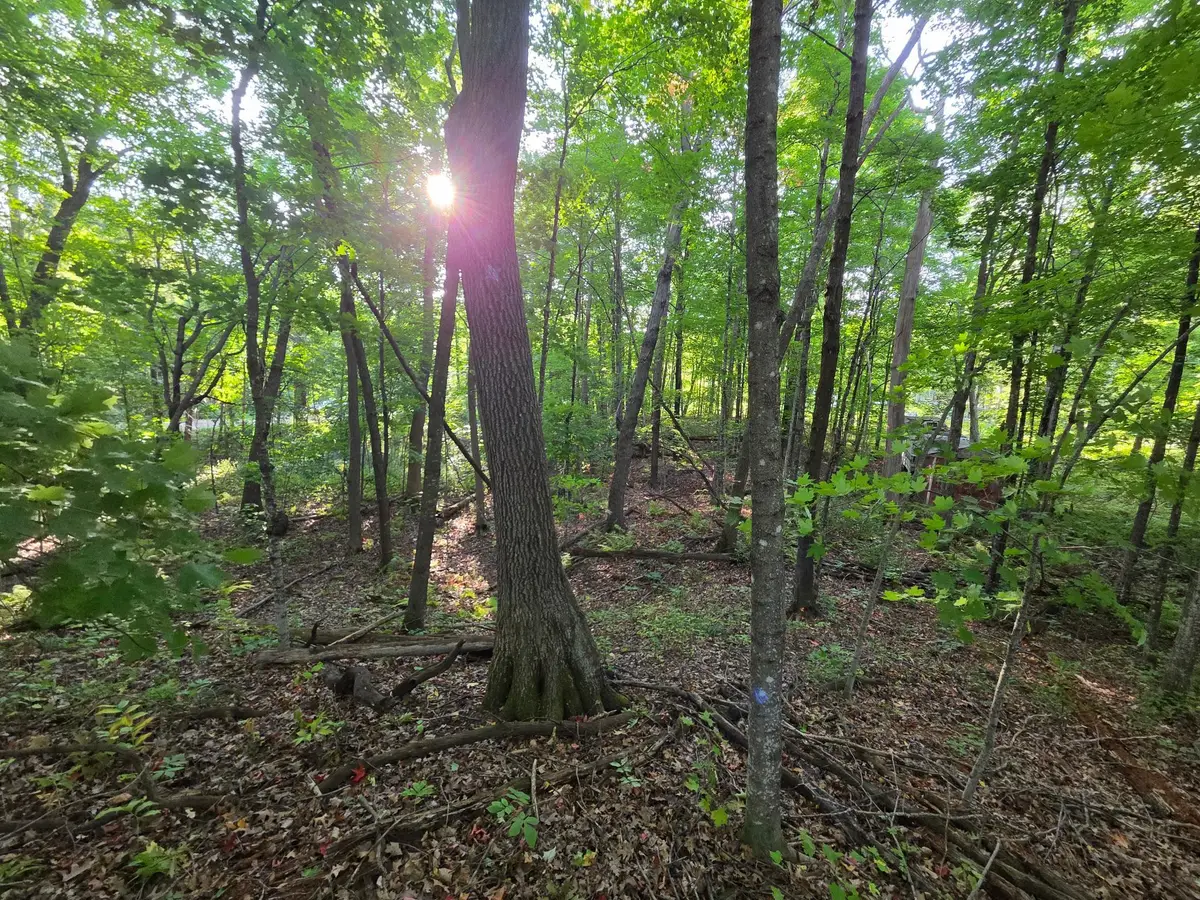 TBD Deer Trail, Garrison, MN 56450 - #1