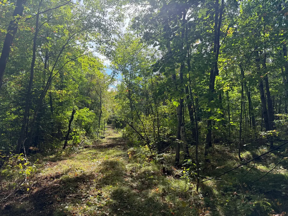 TBD (A) Sand Creek Road, Bruno, MN 55712 - #1