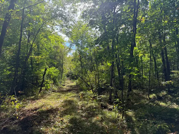 TBD (A) Sand Creek Road, Bruno, MN 55712