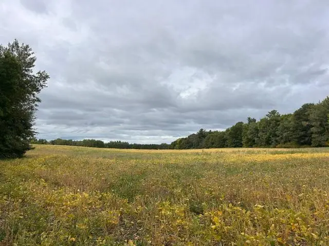 TBD Melody Street, Braham, MN 55006 - #3