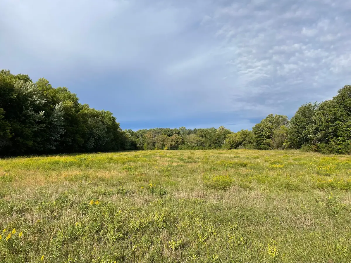 TBD Xxx 140th Avenue, Foreston, MN 56330 - #1