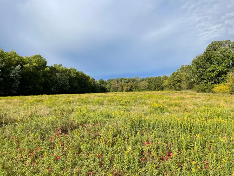 TBD Xxx 140th Avenue, Foreston, MN 56330 - #2