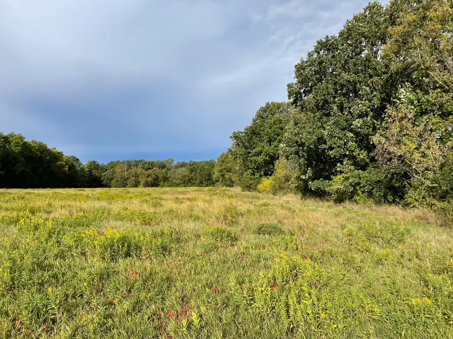 TBD Xxx 140th Avenue, Foreston, MN 56330 - #3