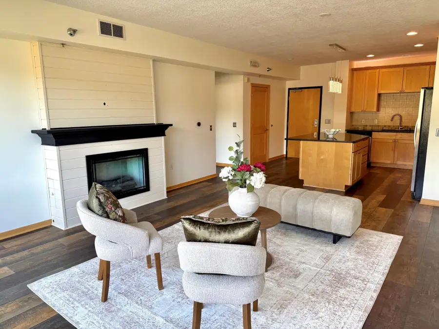 284 Spring Street #311, Saint Paul, MN 55102 - #3