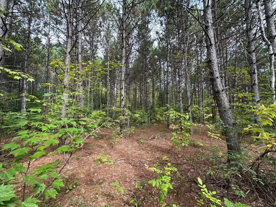 TBD W Fork Road, Sandstone, MN 55072 - #2