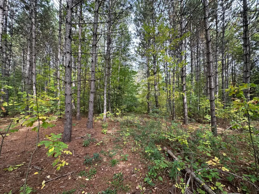 TBD W Fork Road, Sandstone, MN 55072 - #3