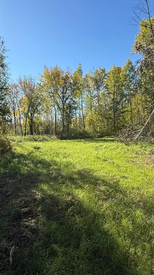 Parcel A Sunflower Road, Kelliher, MN 56650