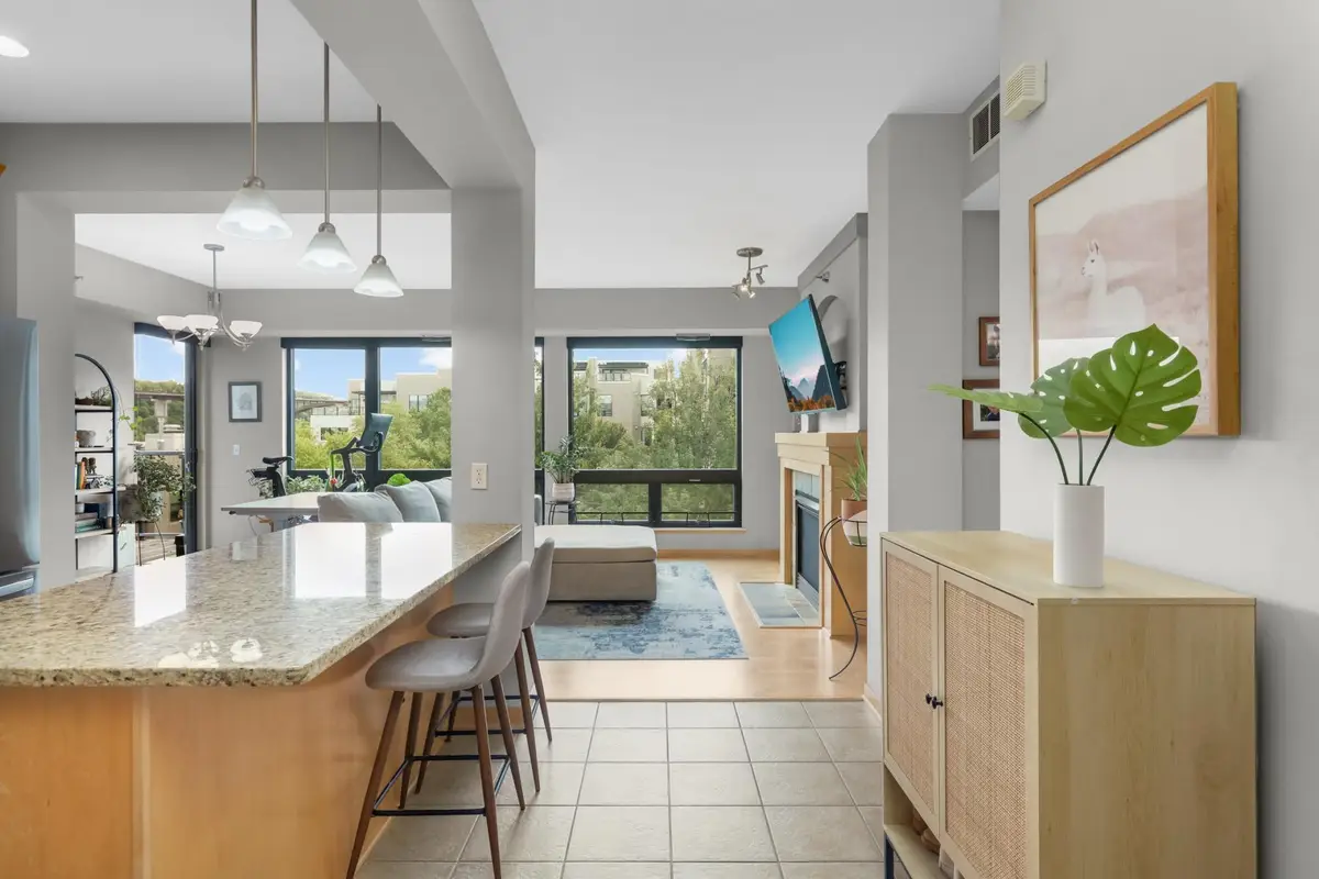 284 Spring Street #307, Saint Paul, MN 55102 - #1