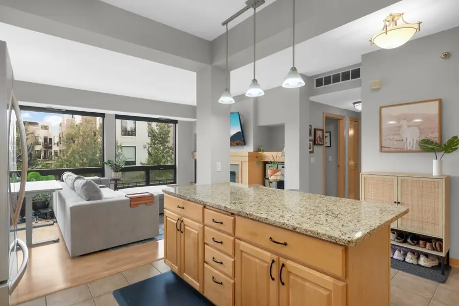 284 Spring Street #307, Saint Paul, MN 55102 - #3