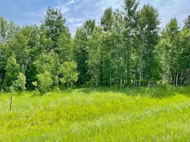 T134-R37 SEC.30    /  HWY 67 Hwy 67, Henning, MN 56551 - #1
