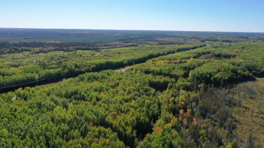 TBD Parcel 4 Hwy 115, Tower, MN 55790 - #3