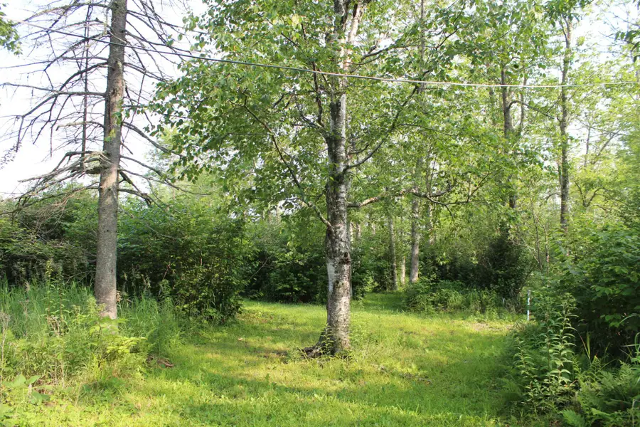 Lot 1 E Camp Amnicon Road, Lakeside, WI 54874 - #2