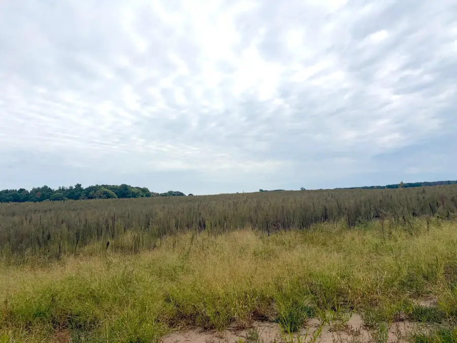 TBD (L8-SM East) Flamingo Street Nw, Isanti, MN 55040 - #2