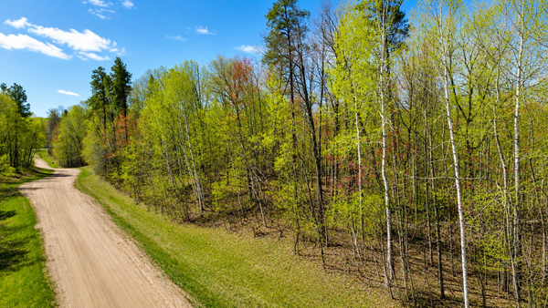 TBD Raccoon And Flower Trail, Breezy Point, MN 56472