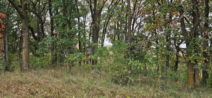 tbd County Highway 127, Ottertail, MN 56571 - #3