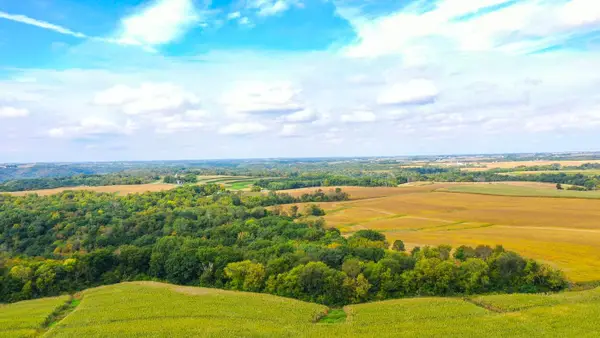 TBD Dump Hill, Rushford, MN 55971