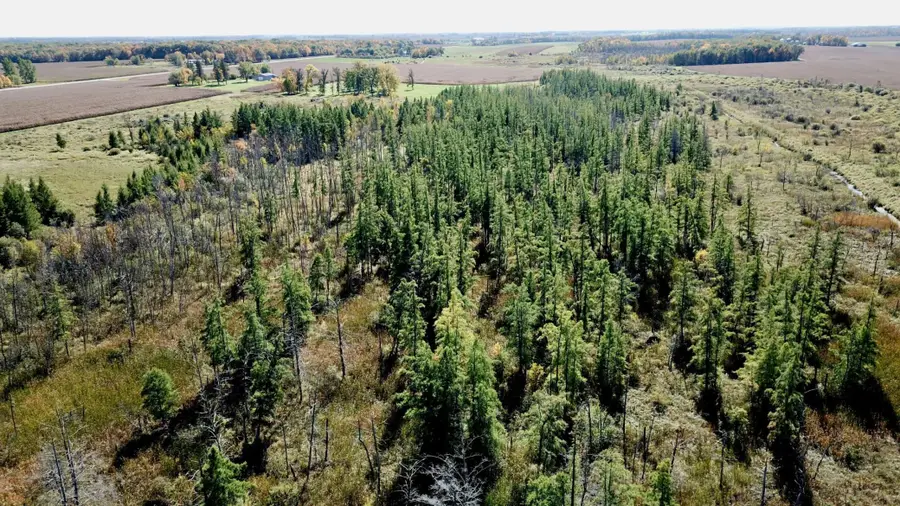 40939 Cr-75, Bertha, MN 56437 - #3