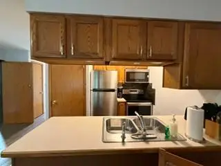 6266 Giants Ridge Road #403, Biwabik, MN 55705 - #2