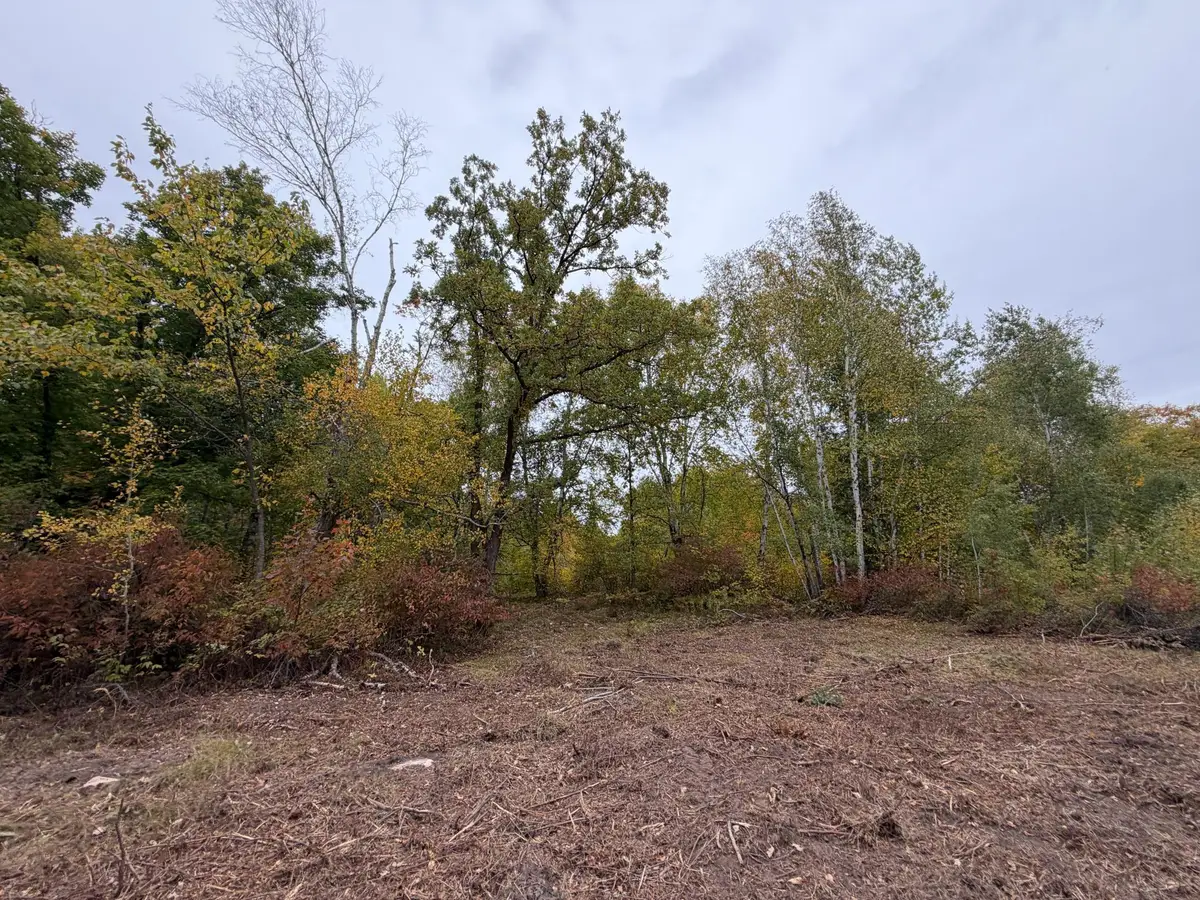 51315 Sand Creek Rd, Bruno, MN 55712 - #1