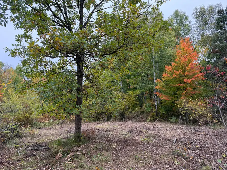 51315 Sand Creek Rd, Bruno, MN 55712 - #3