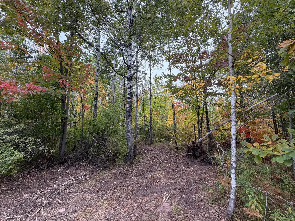 51449 Sand Creek Rd, Bruno, MN 55712 - #1