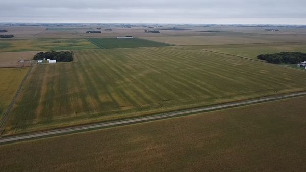 86595t 280th Street, Danube, MN 56230