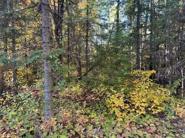 TBD Lost Lake Rd., Tower, MN 55790 - #2
