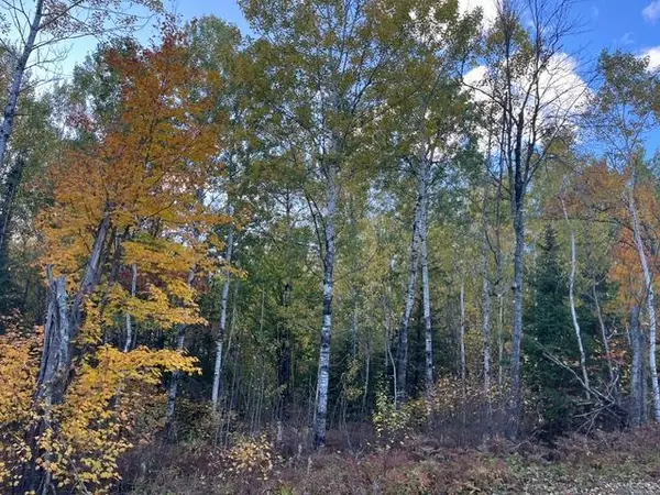 TBD S Loon Lake Rd., Aurora, MN 55705